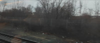 A wooded thicket containing the old HP&F trackway adjaent to the northeast corridor