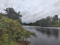 Looking southwest across Aspinook Pond/ Quinebaug River from the Butts Bridge Rd boat launch