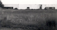 A boxcar waits at the Sears warehouse in Newington on a summer day
