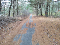 The paved part of the rail trail in Oneco, between Spring Lake Rd and Railroad Ave