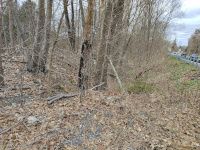 On the west side of Rte 67, the railroad cut is immediately visible but not hikeable