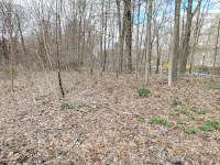 In the center of this photo, a line of road guardrail type posts is visible in the woods. The driveway/old alignment of Rte 67 is visible at far left.
