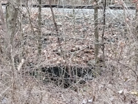 A small structure in the leaf litter along the railroad between the Scotland crossing and Merrick Brook