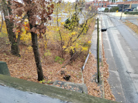 Looking west from the Burnham Ave Bridge: The suspected location of the former West Arlington Station